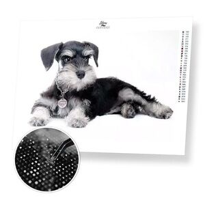 Home Craftology Schnauzer Dog Diamond Art Diamond Painting